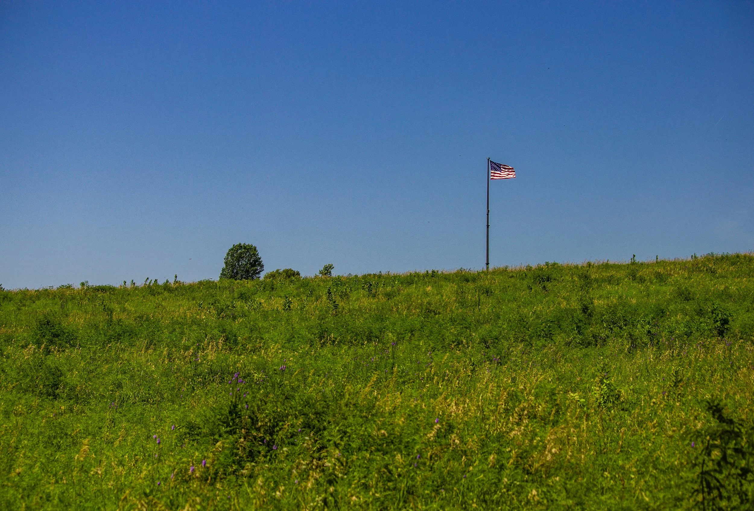 Beyond the Holiday: Memorial Day as a Collective Mirror for Grief