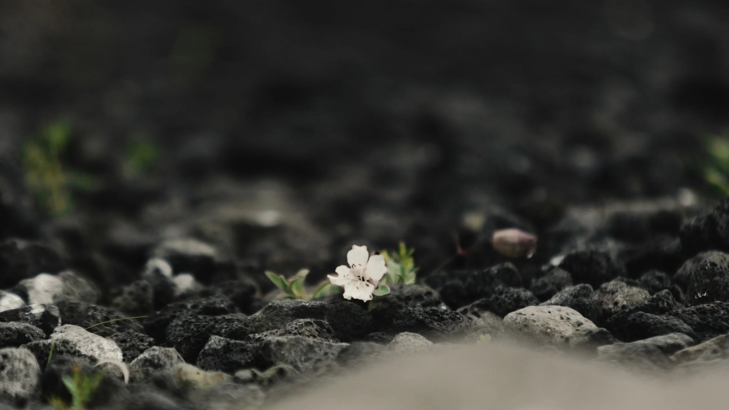 Zuversicht: Mehr als nur positives Denken