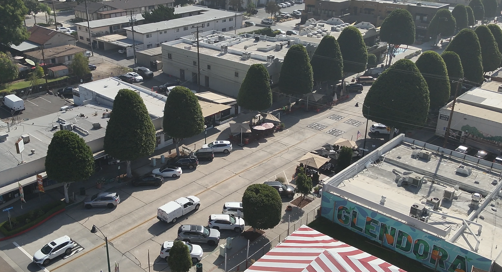 Business Marketing/Promotion drone services