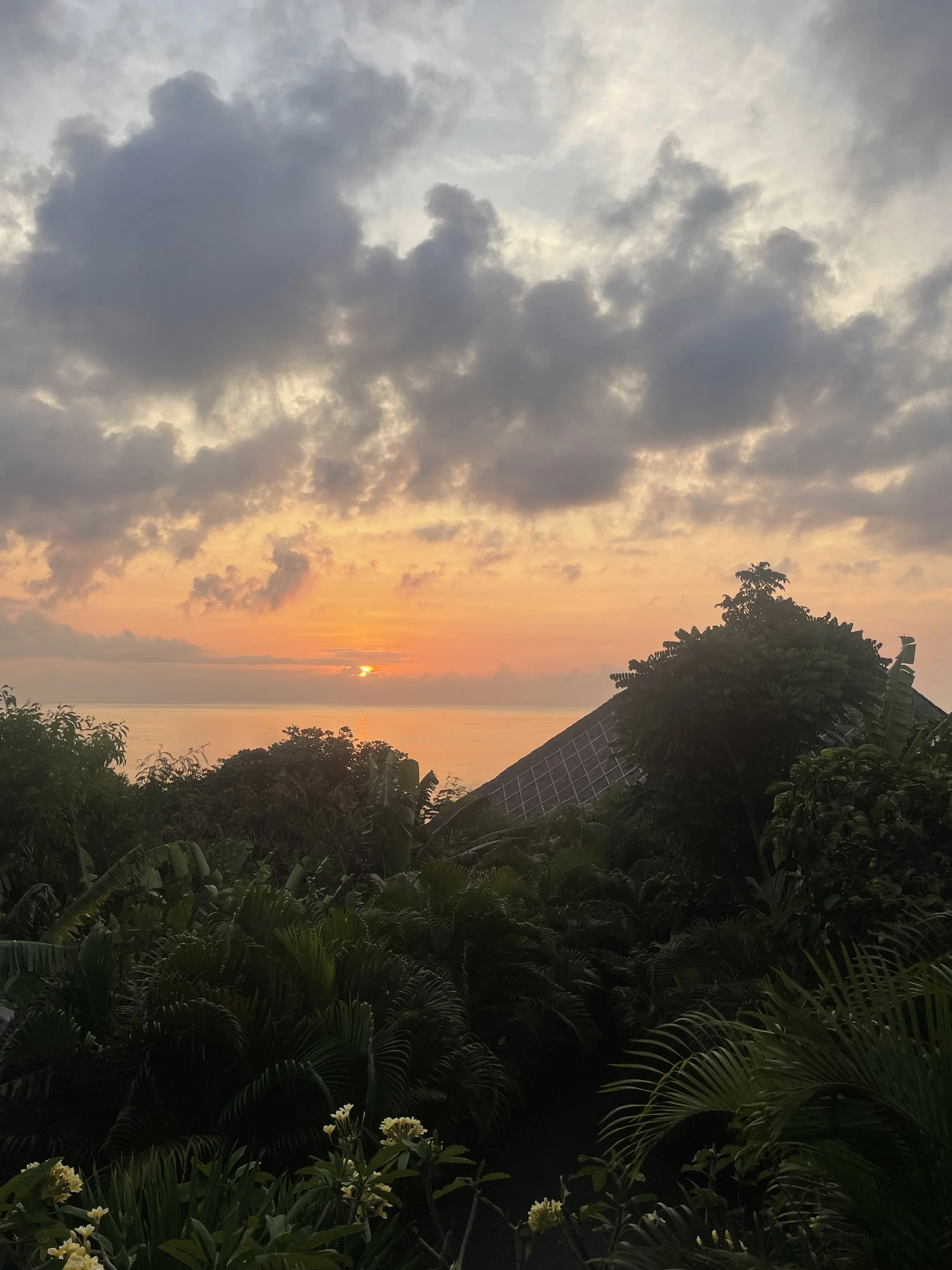 IMG_0198.jpeg