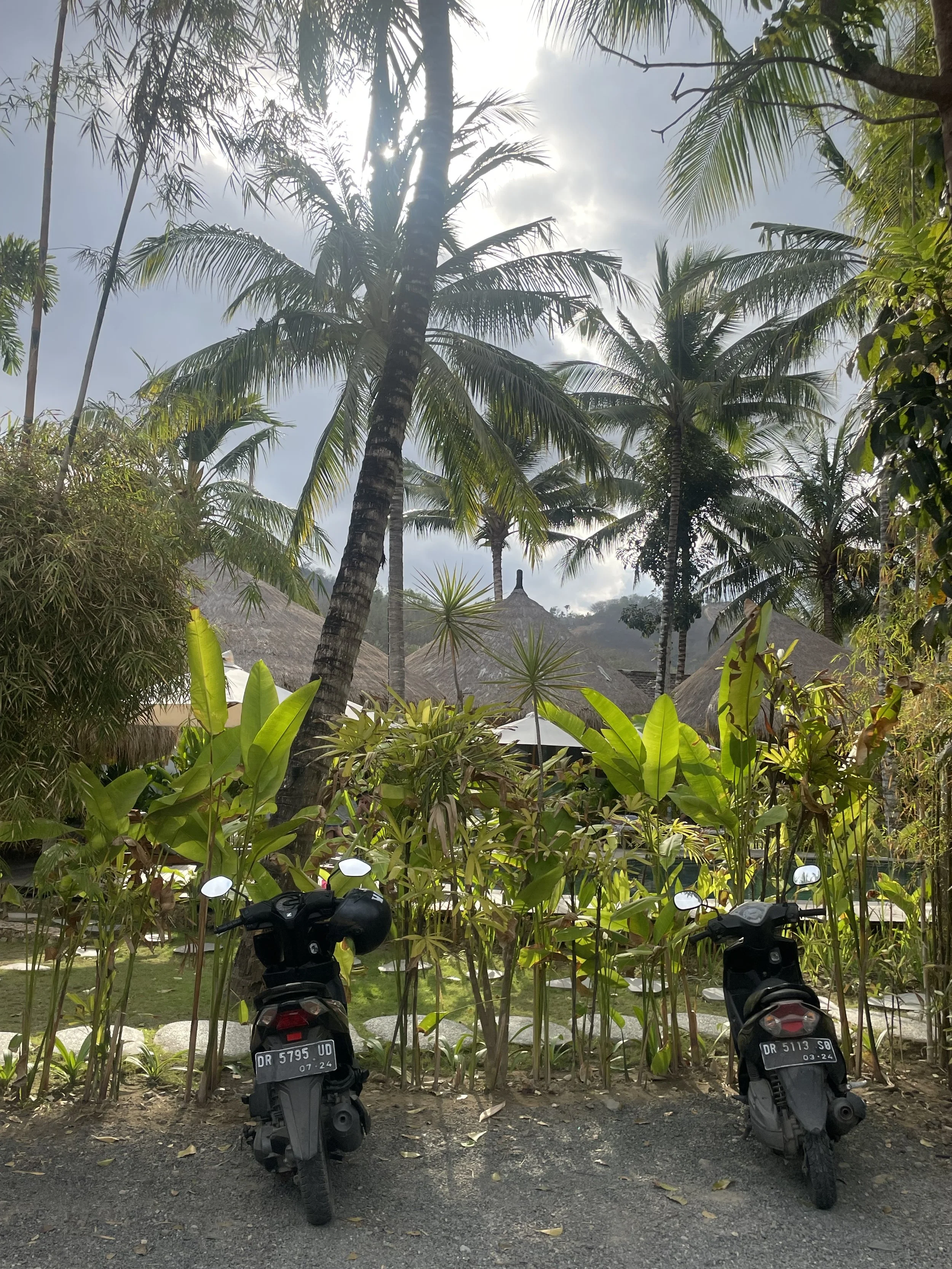 IMG_0070.jpeg