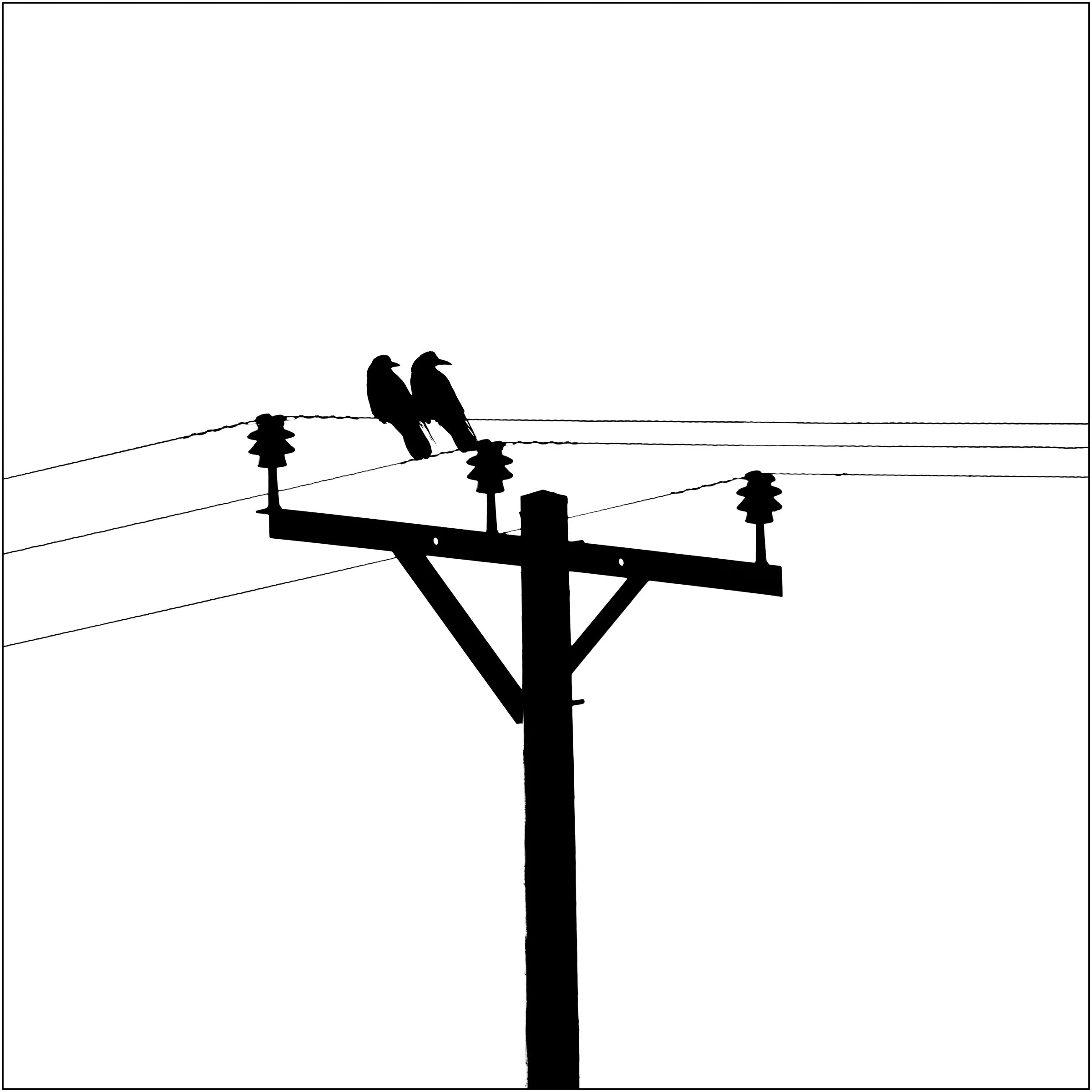 2nd	Joe Dailly	Line of Communication