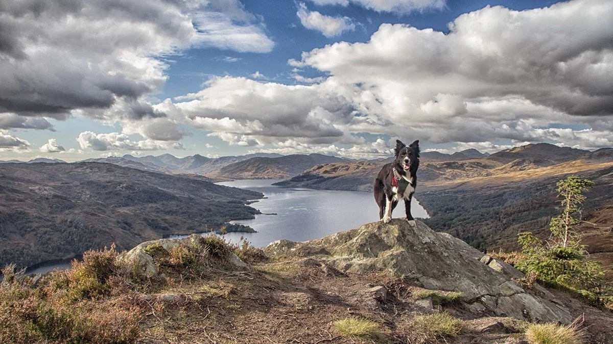 3rd – ‘Little Mountaineer’ – John Isaacs