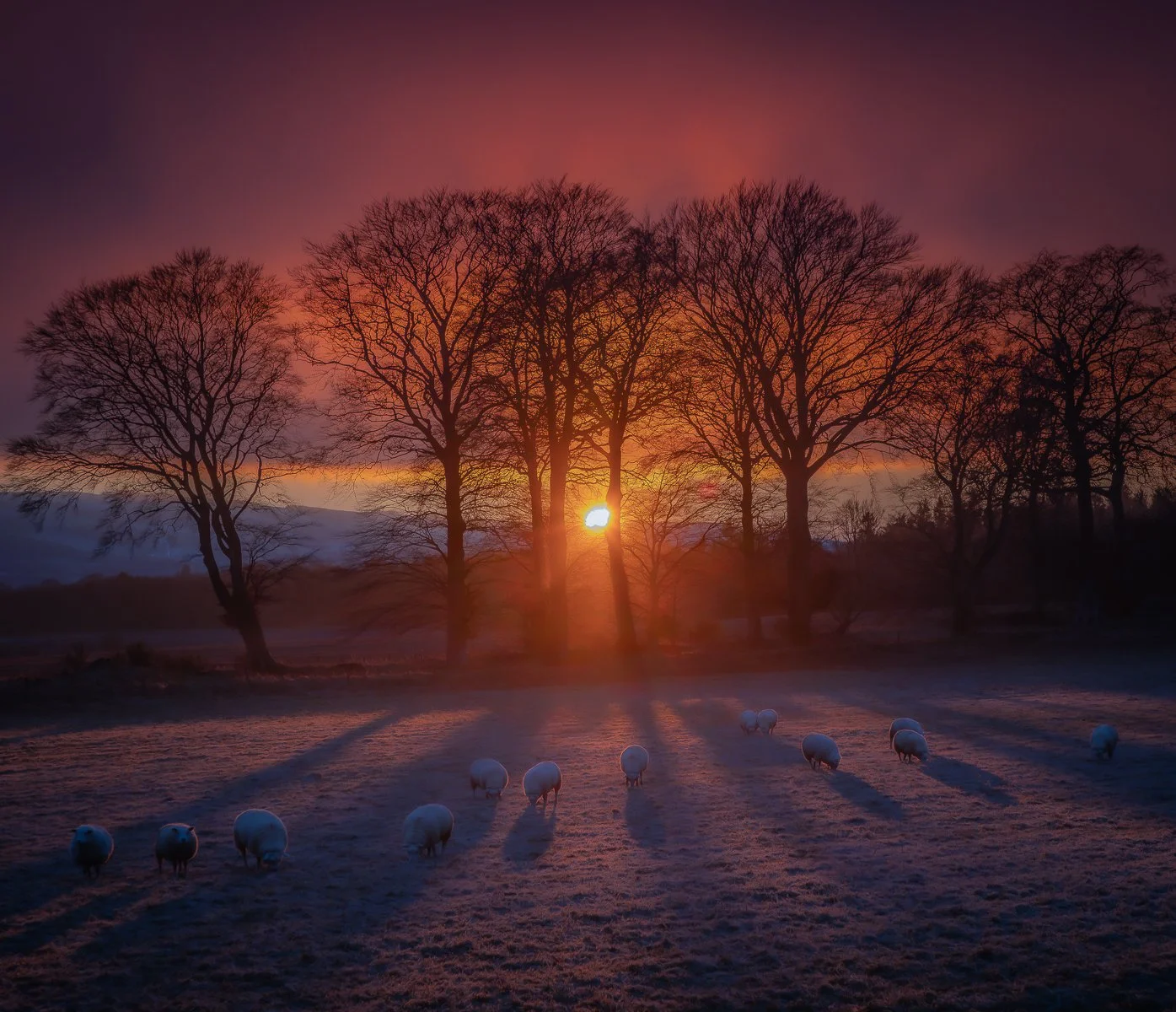 C – Evening Meal – Bill Nicoll