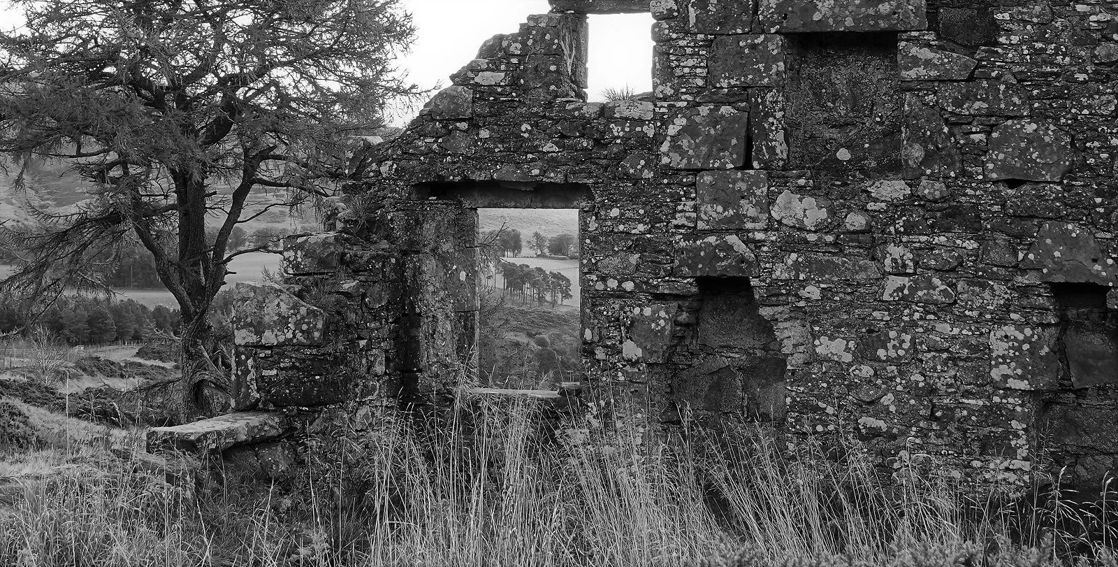 Rooted in the Past