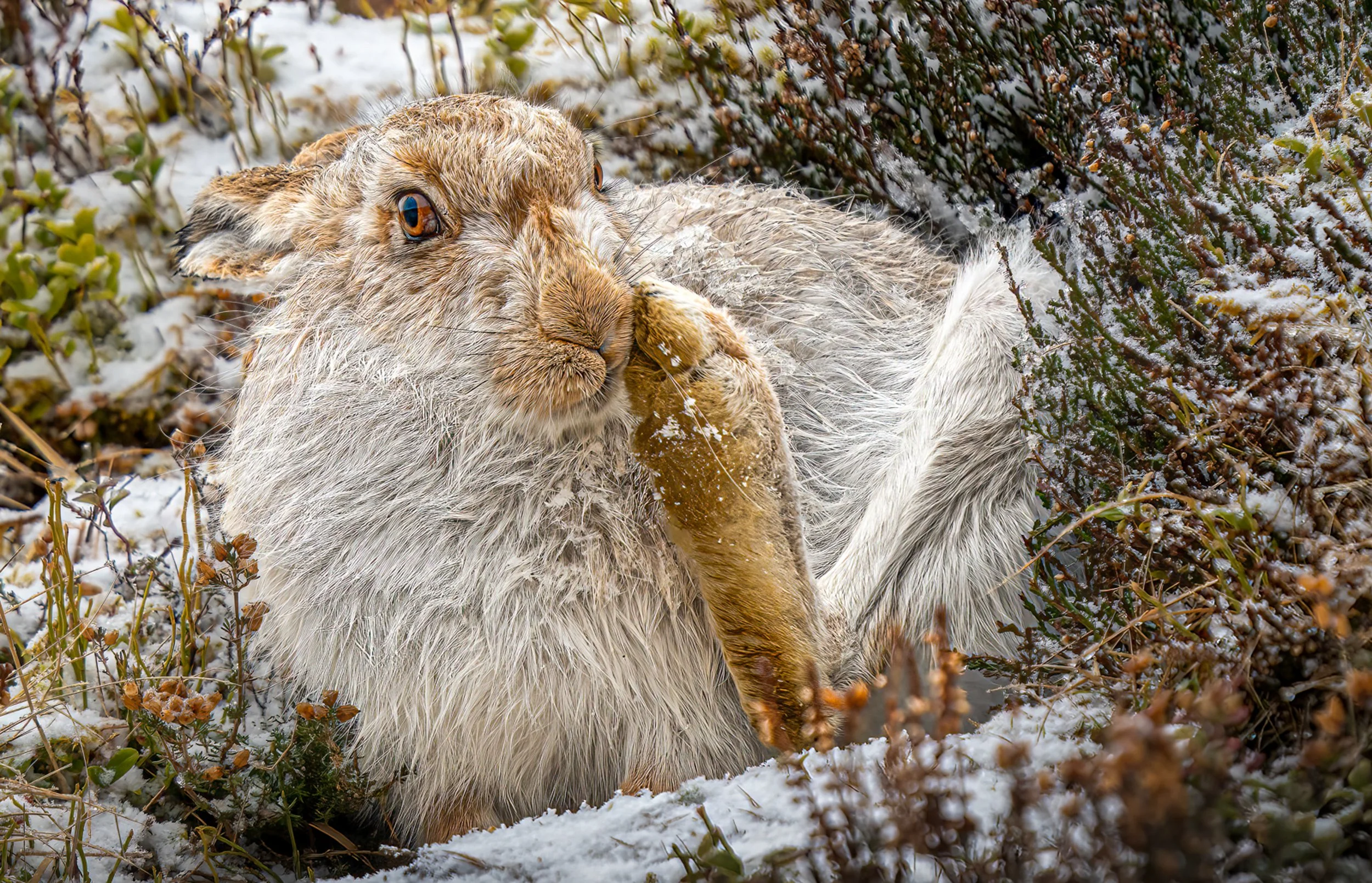 Deep in thought (1 of 1).jpg