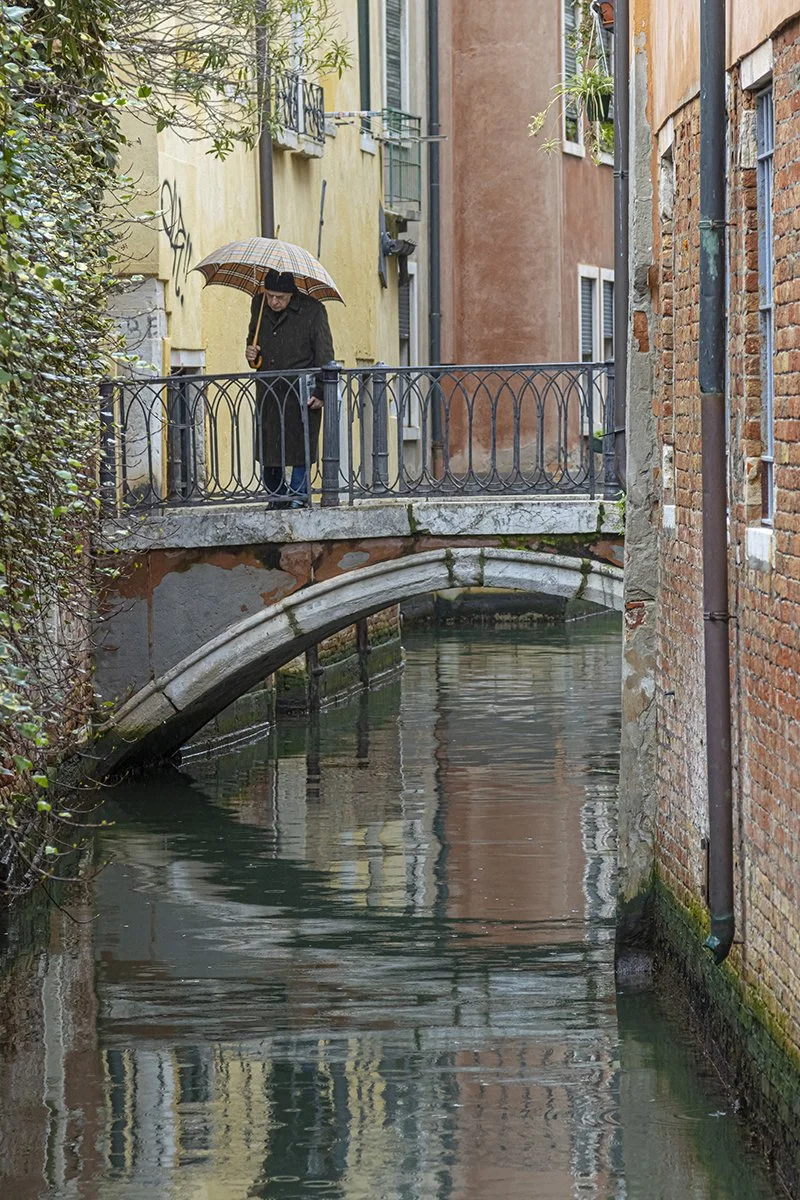 C – Contemplation – Alistair Carrie