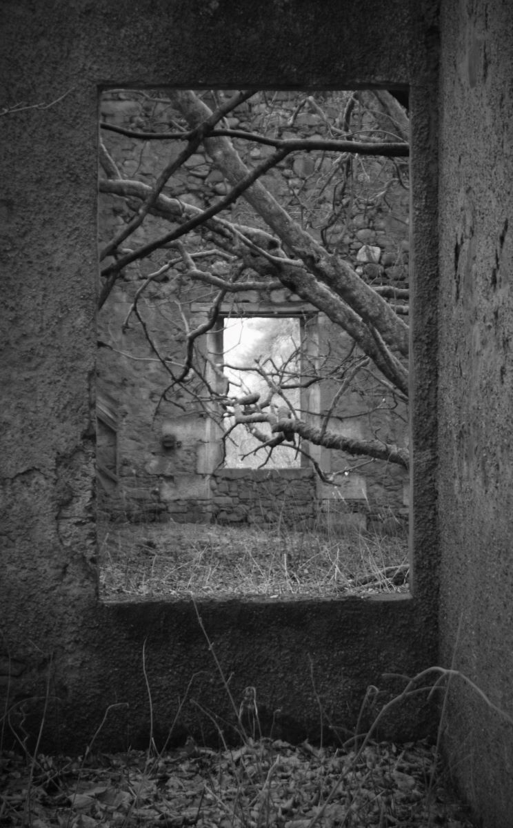 Forgotten Window