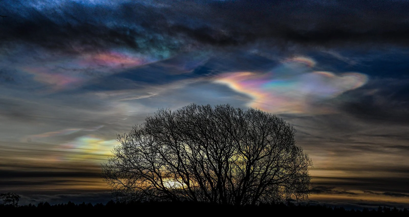 3rd place – A Very Nacreous Christmas – Heather Ray