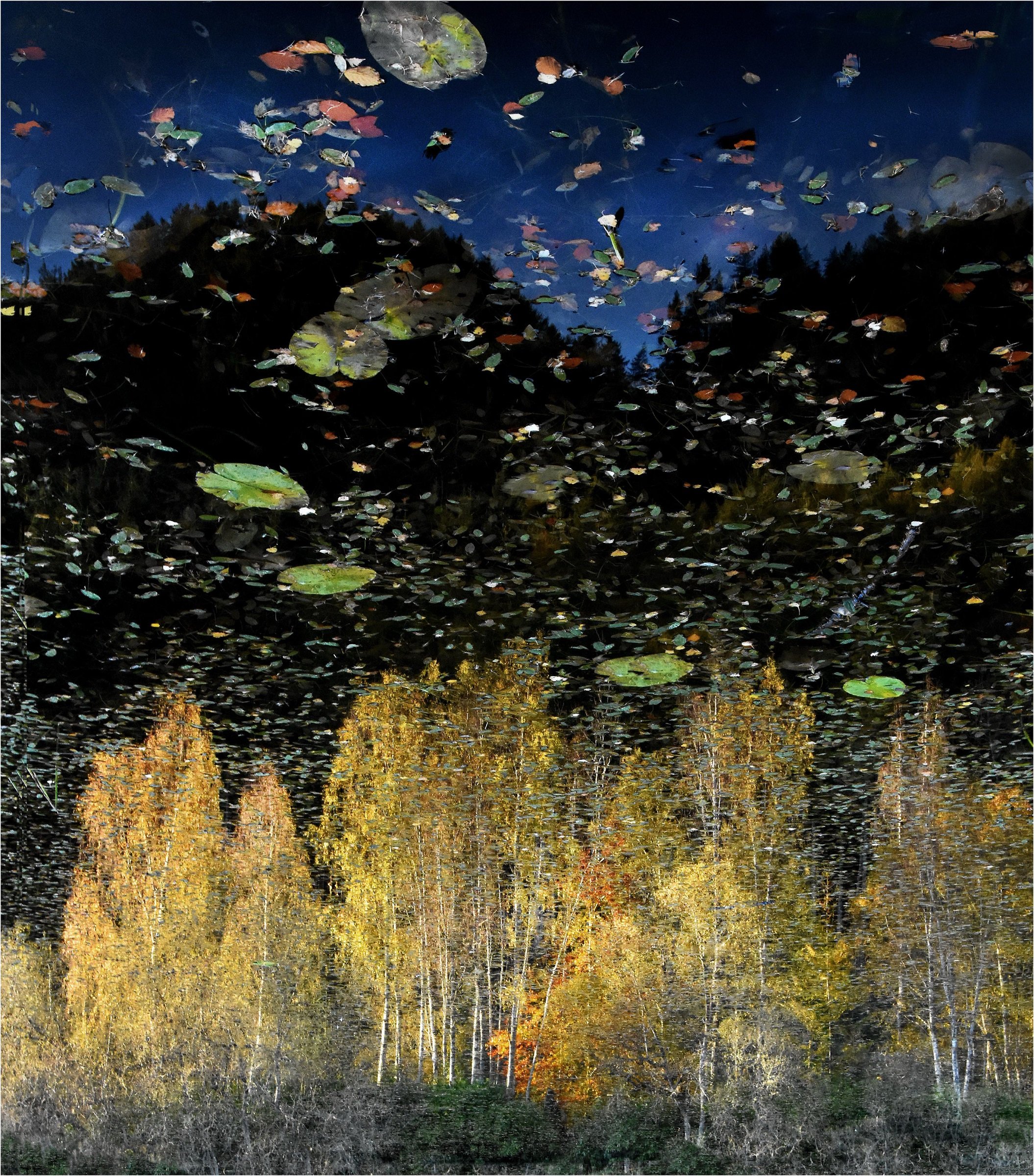 1st.  Malcolm McBeath - Secret Loch