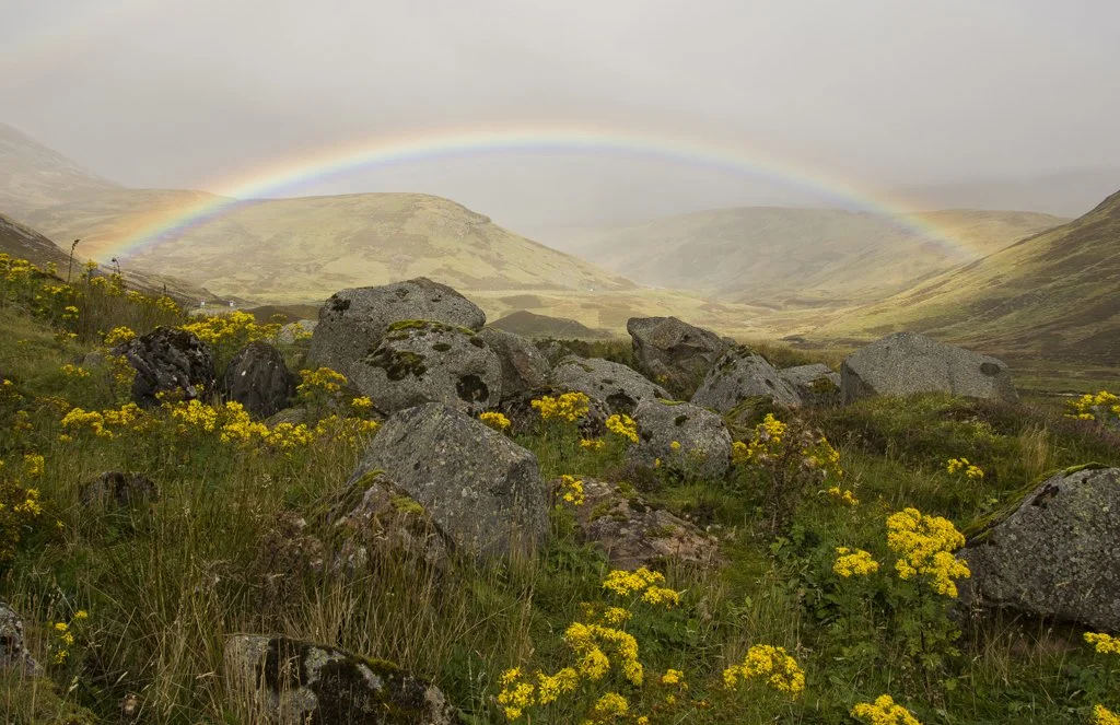 Sunshine and Showers