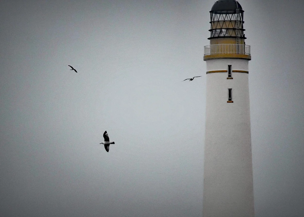 Claire Higgins – 1st Place Category ‘In Flight’