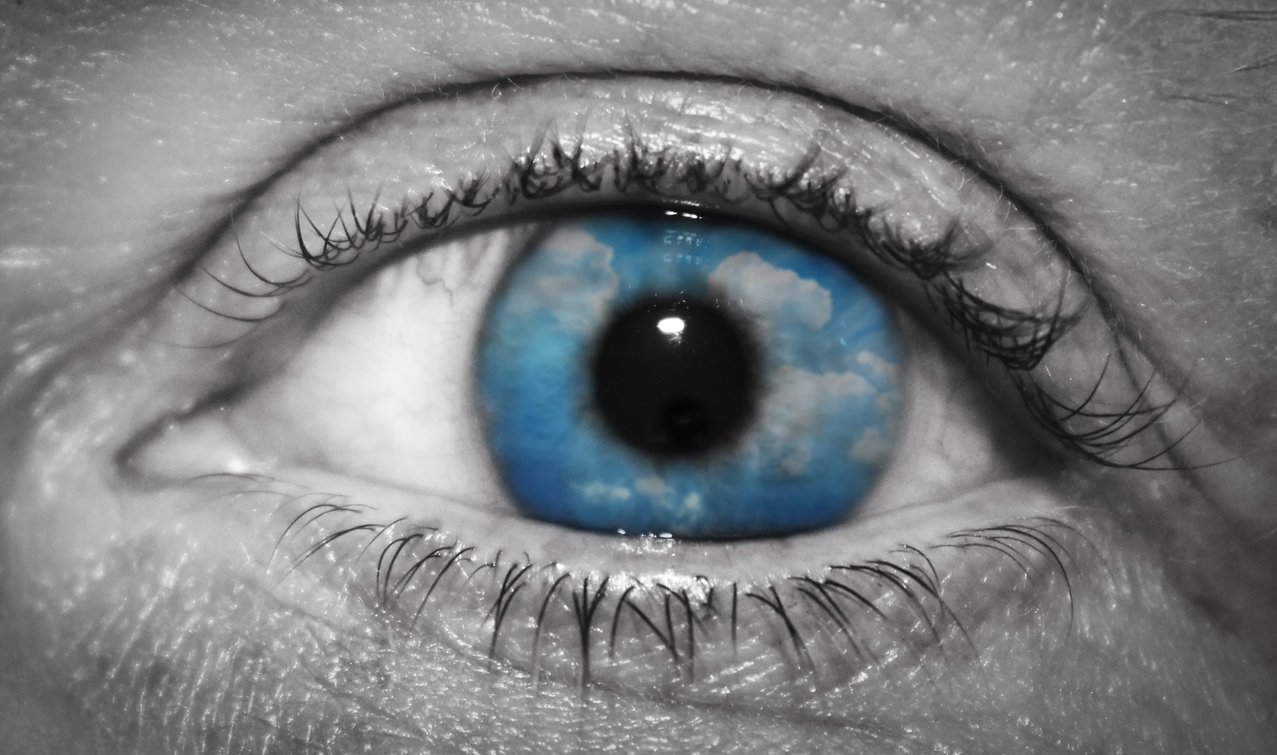 1st place - Zoe Hargraves - The False Mirror