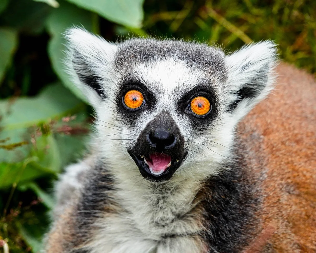 C – Surprise! – Marilyn Binnie