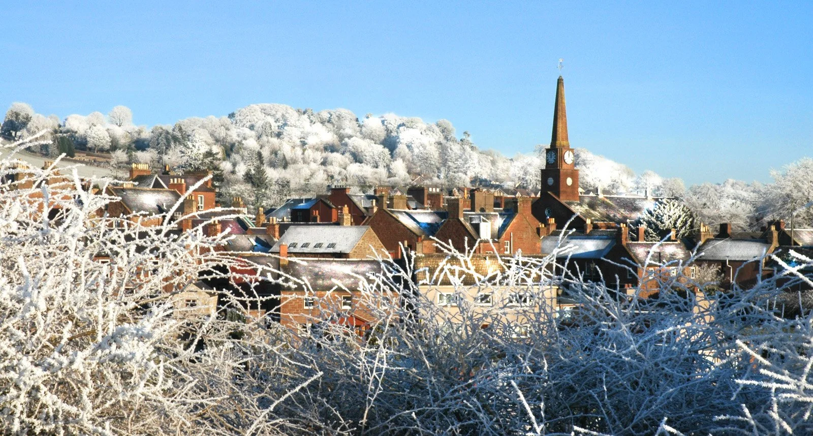 Snowy Kirriemuir