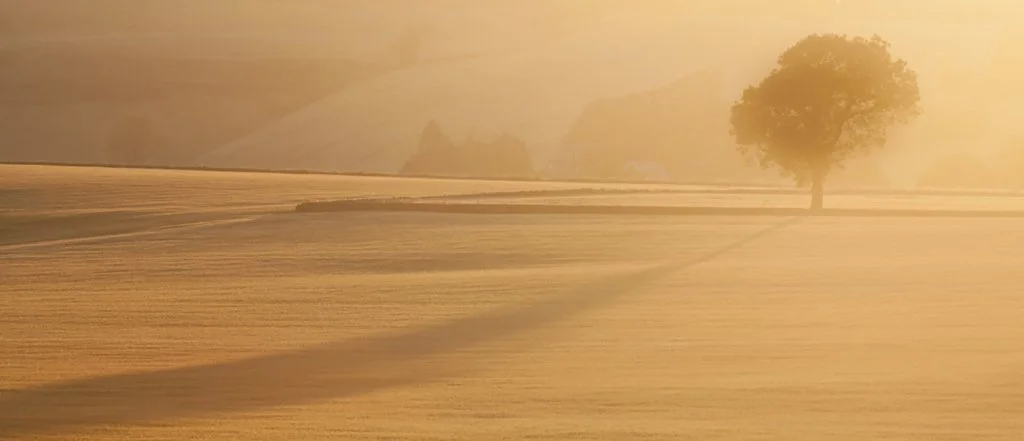 The Shadows are Long!