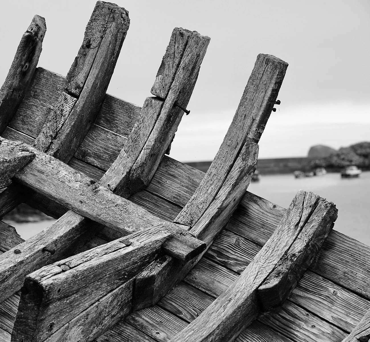 Shipwrecked