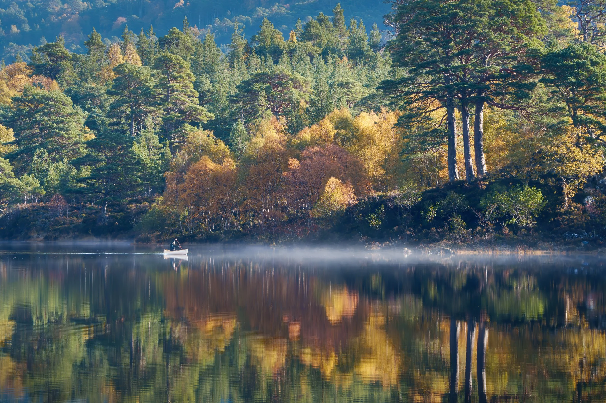 25 Going to need a bigger boat!.jpg