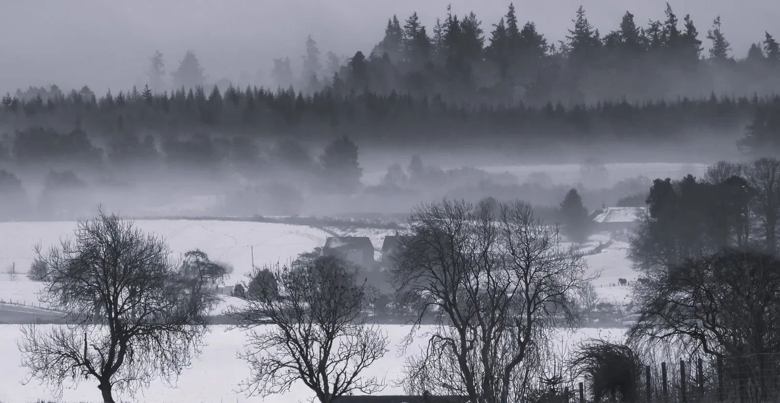 22 Scotch Mist in the valley.JPG