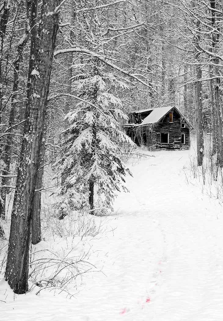 3rd: Malcolm McBeath – ‘Blood on Snow’