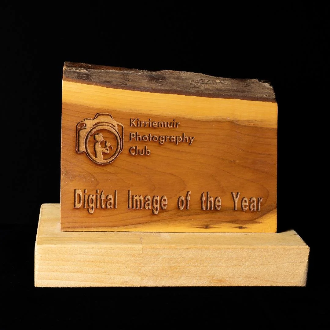 Digital Image of the Year