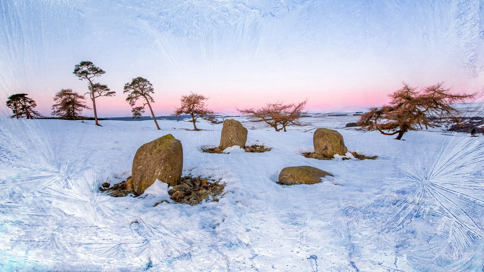 Scene through a Frosty Window