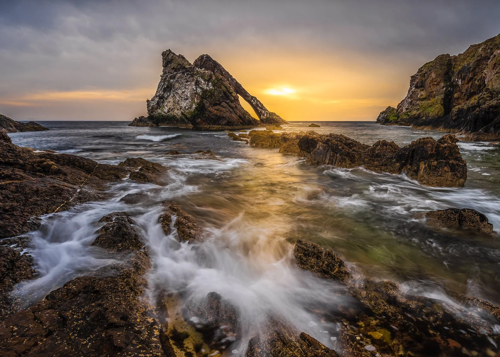 Good Morning Bow Fiddle