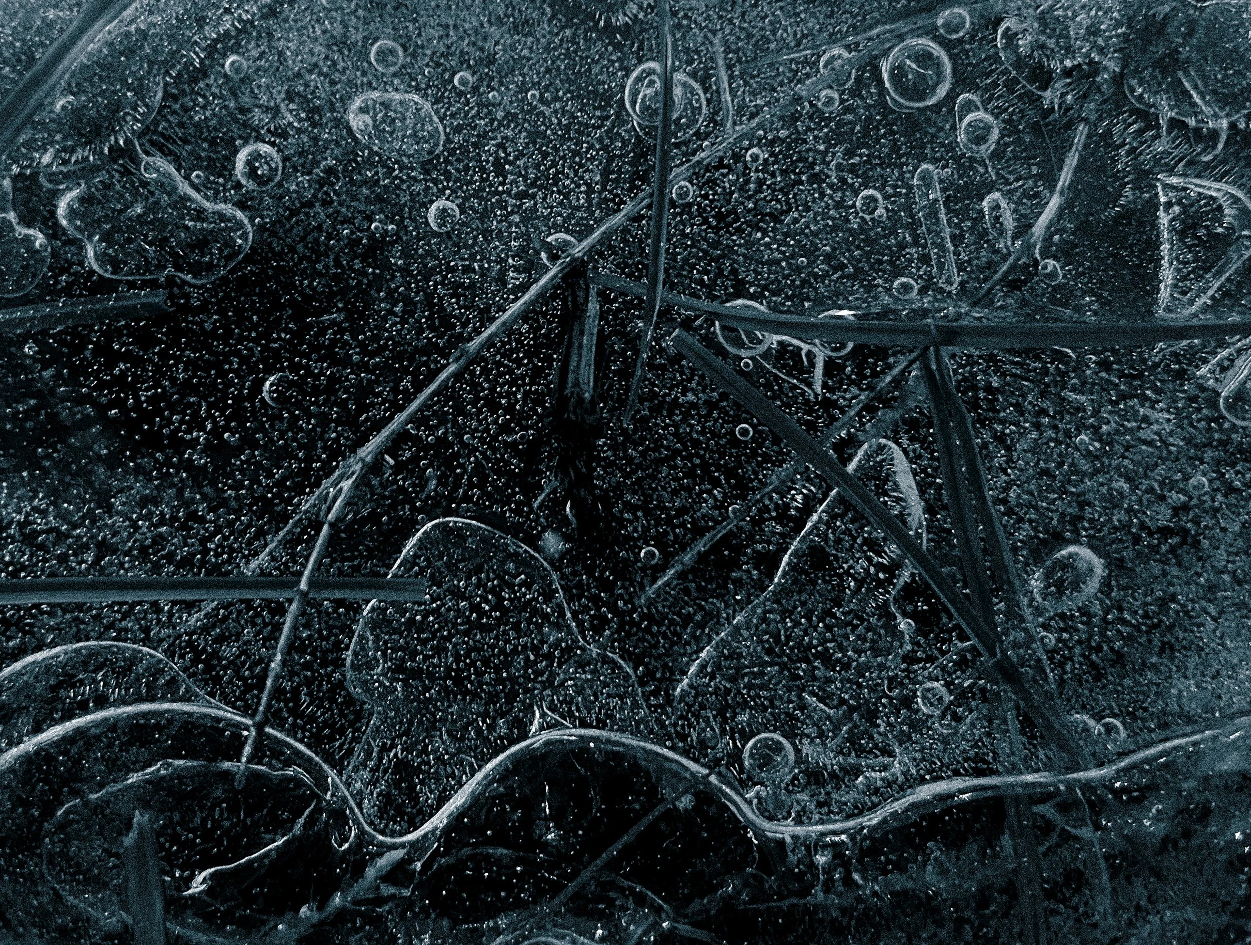 2nd  Zoe Hargraves - Fractured Silence