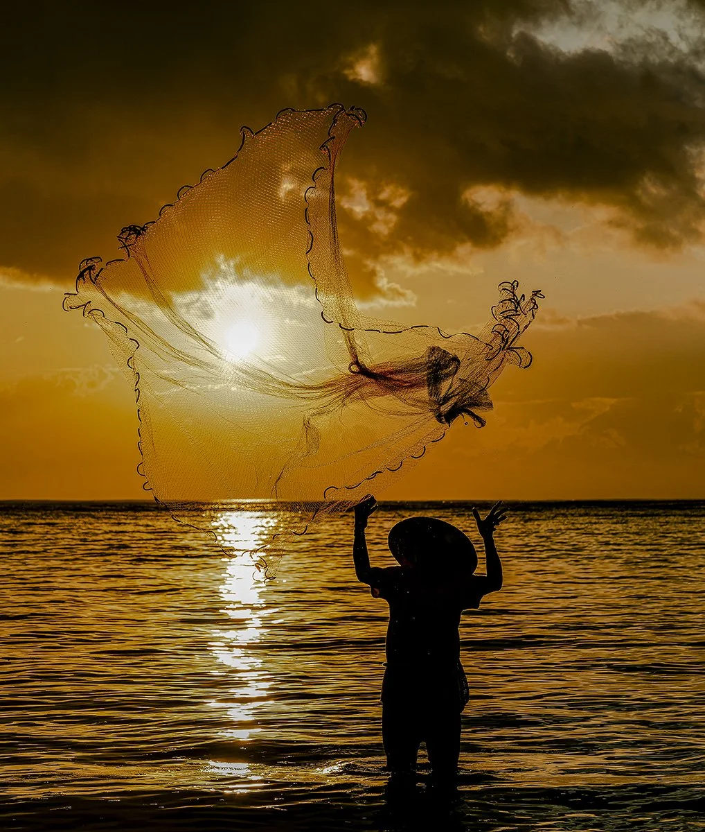 C – Catching the sun – Bill Powrie
