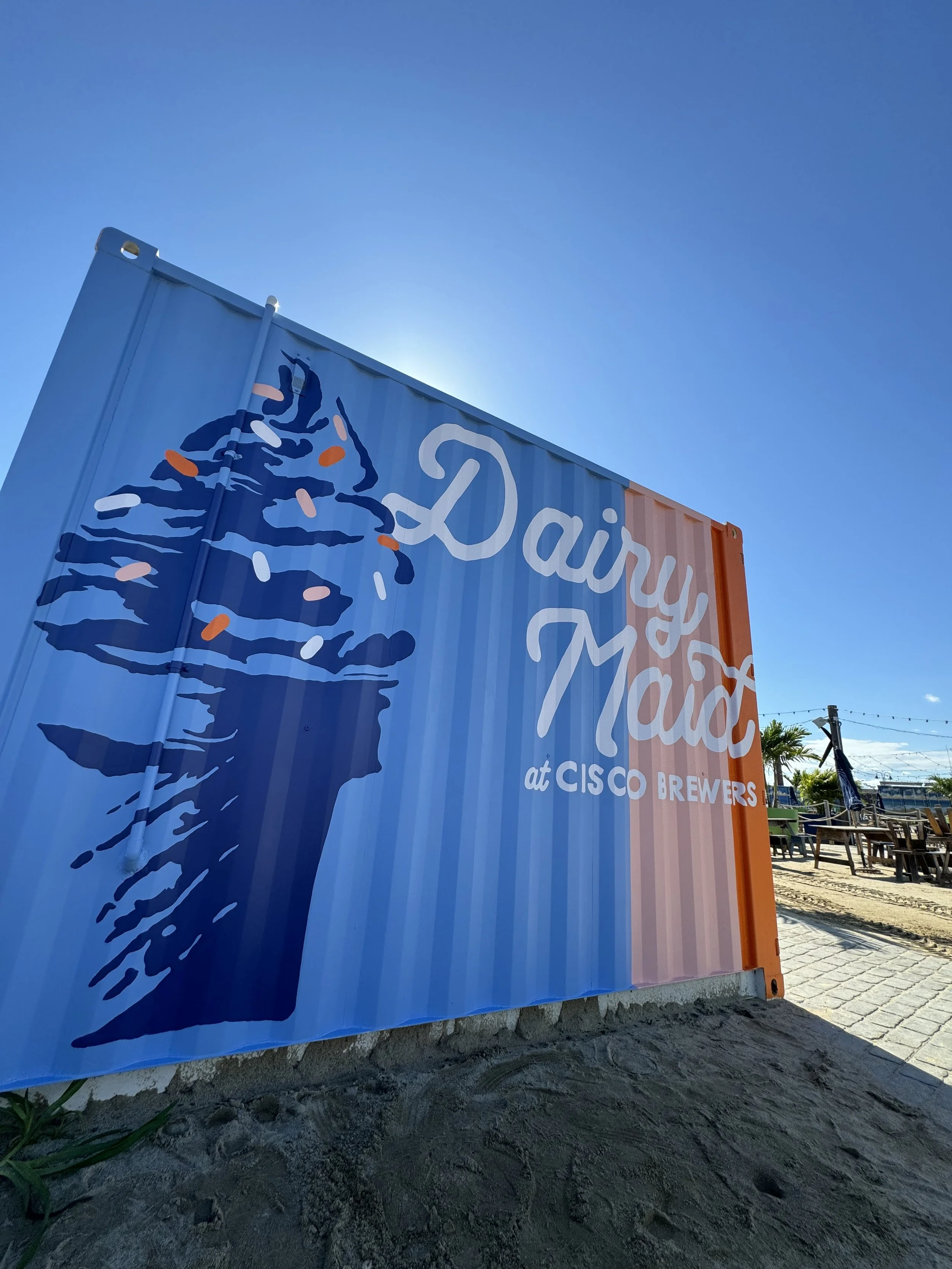 commerical-mural-by-pandr-design-co-5.jpeg