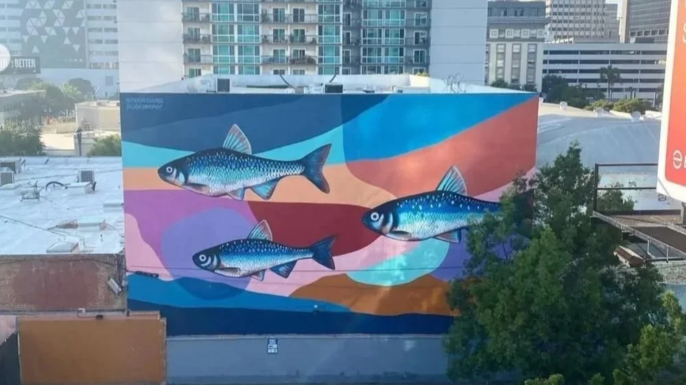Pandr’s San Diego Mural Tour: 12 Can’t Miss Outdoor Murals
