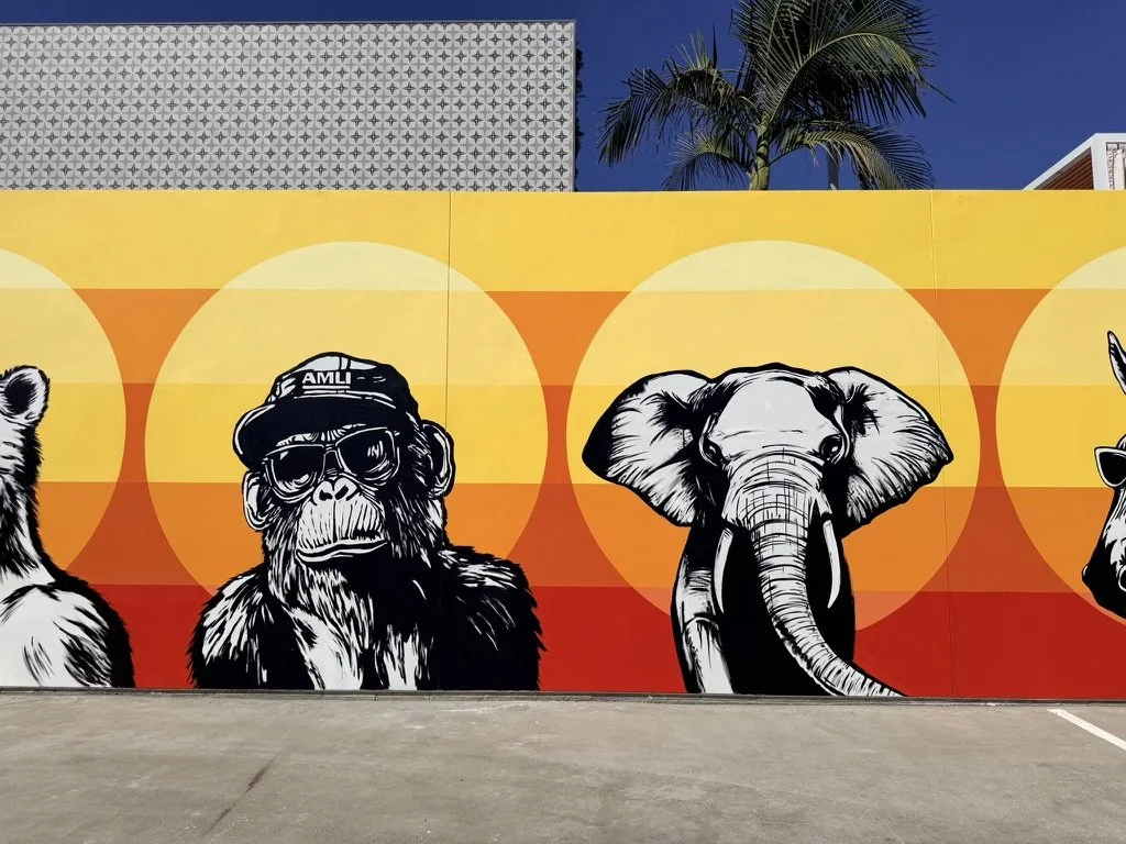 rooftop-mural-san-diego-pandr-9.jpeg