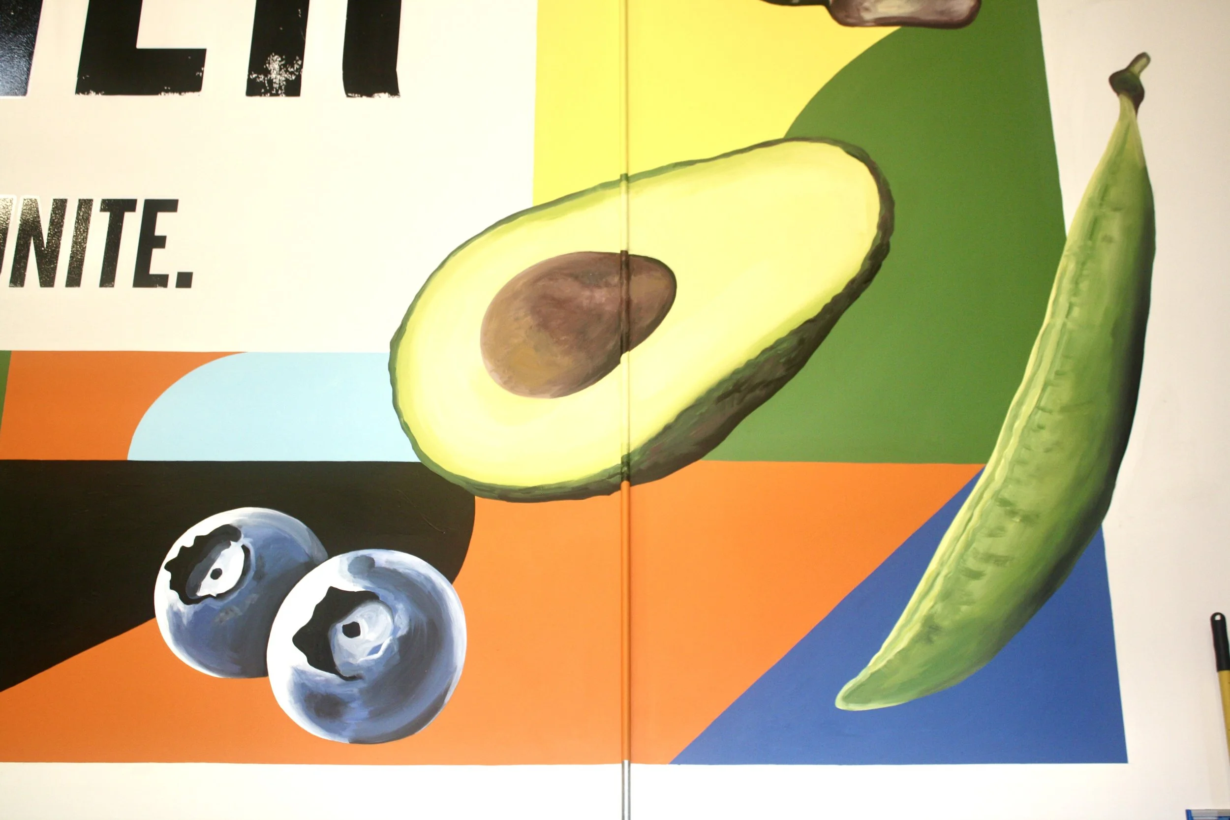 Feeding San Diego3.jpeg