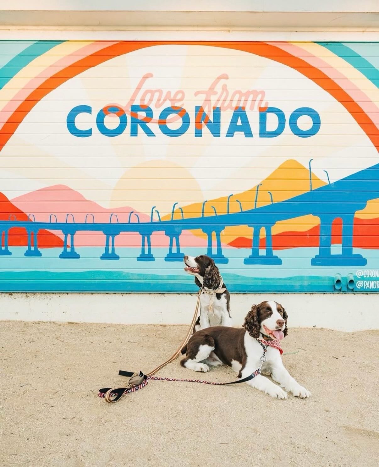 Some hotel murals from over the years ✨

A lot of these were designed to double as social media backdrops and one of my favorite parts has been seeing them take on a life of their own through your tagged photos over time. It&rsquo;s wild (and very co