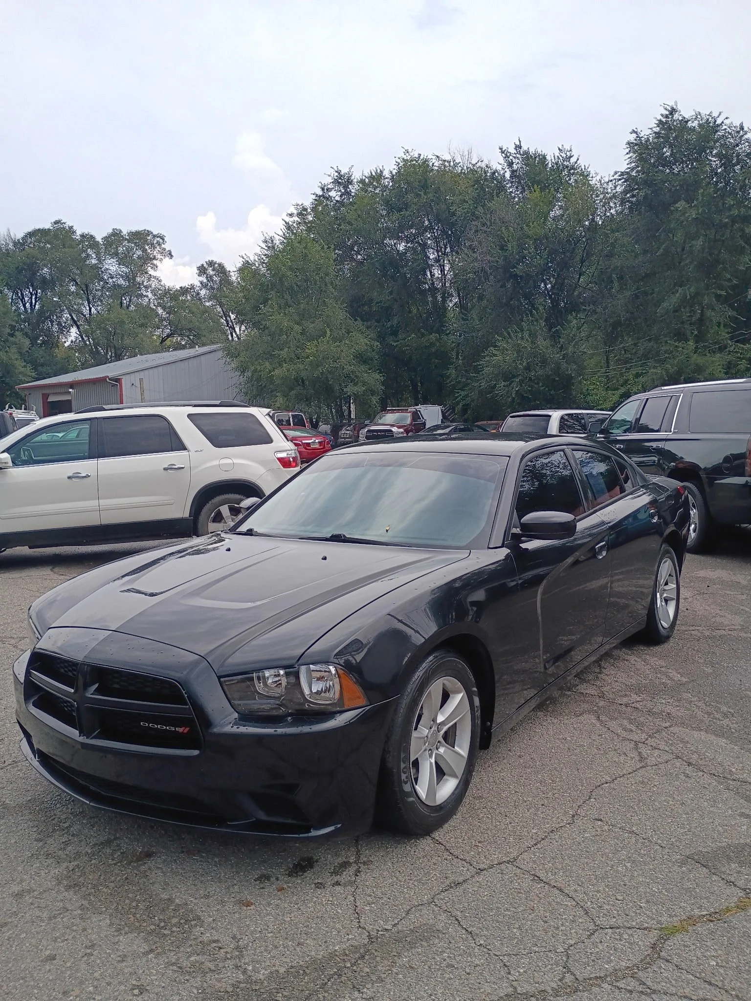 IMG_20250924_122633 (2).jpg
