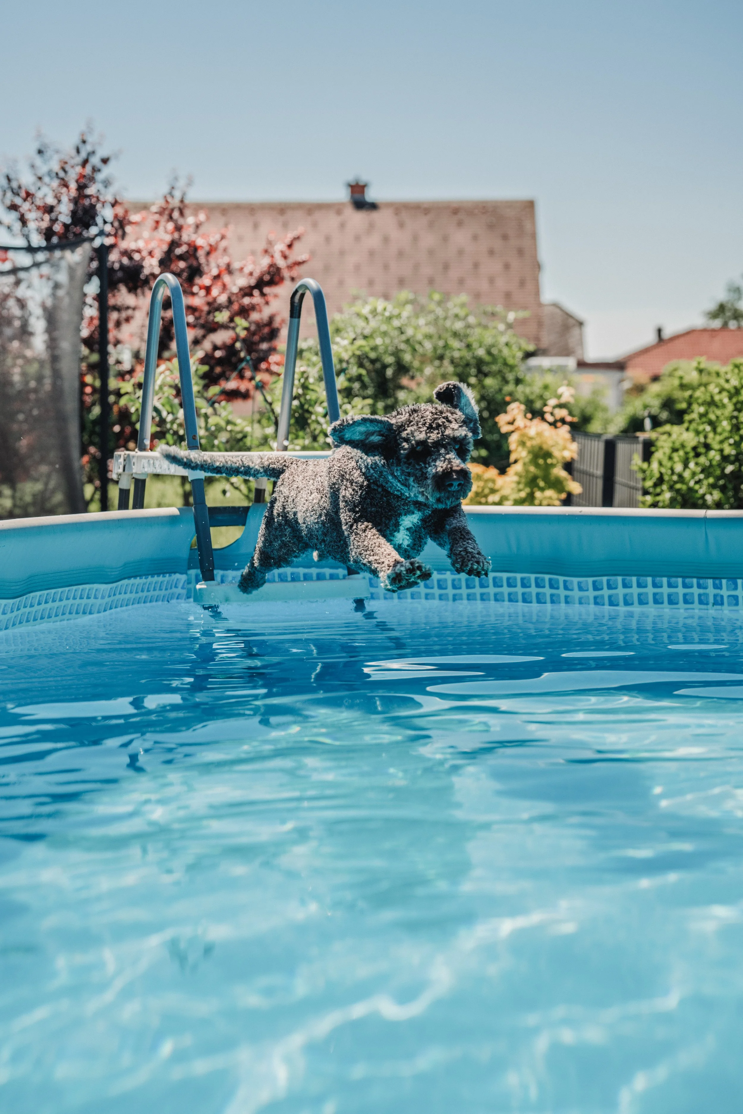Pool (6).jpg