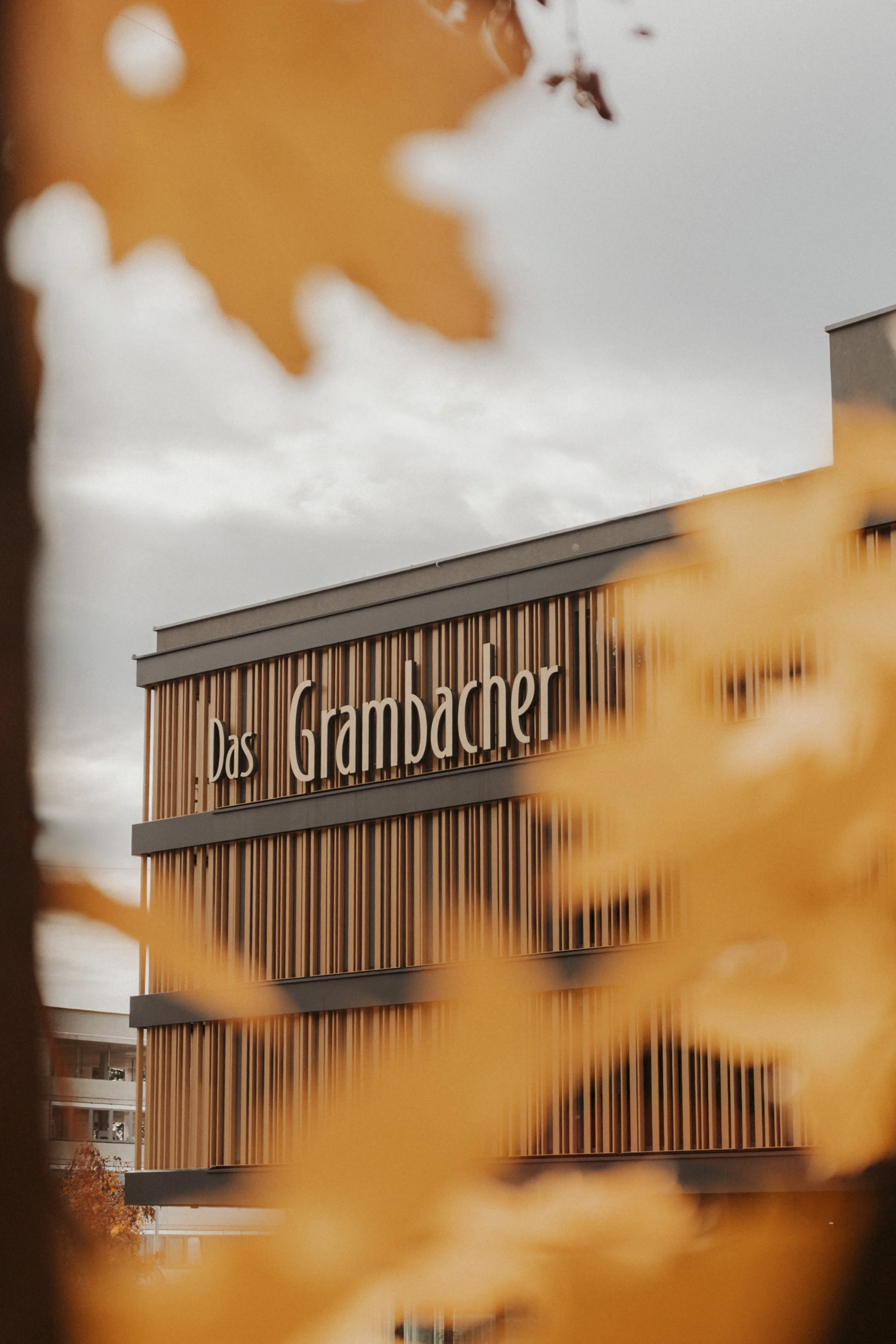 Ein modernes Gebäude mit Holzverkleiung und einem großen Schriftzug, der 'Das Grambacher' lautet, ist durch herabfallende Herbstblätter vor einem grauen Himmel sichtbar.