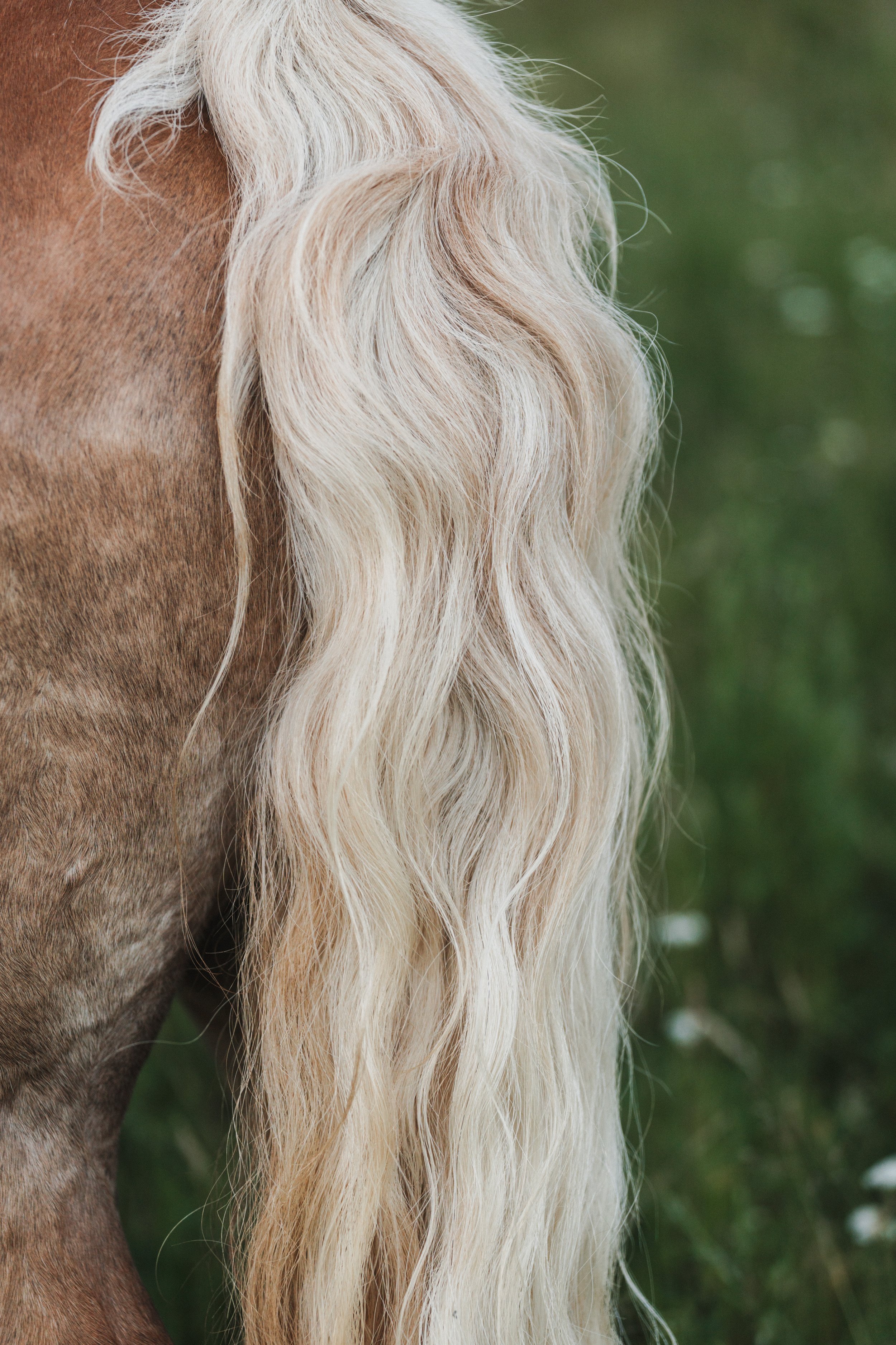 Closeup (4).jpg