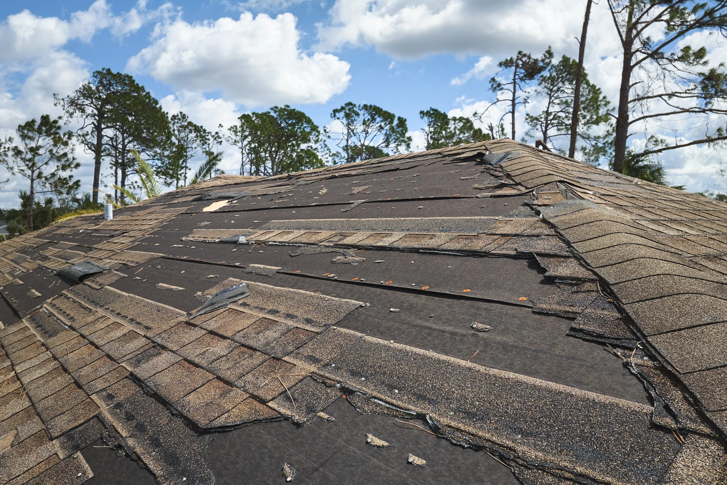 Hendersonville Roof Repair: Fixing Valley Leaks on Tree-Heavy Lots