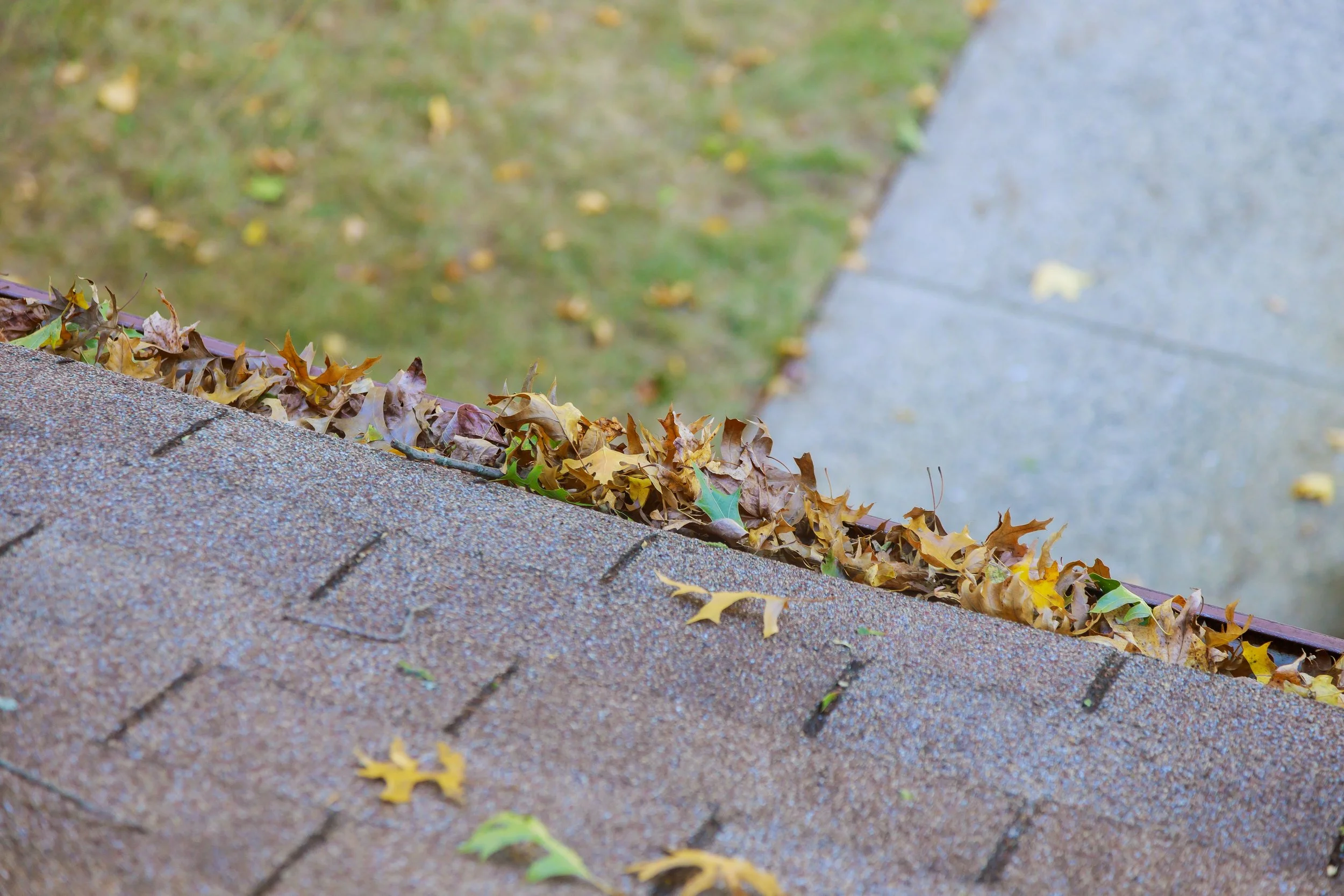 Gutter Installation Asheville: Seamless Sizes, Downspouts, and Drainage Planning