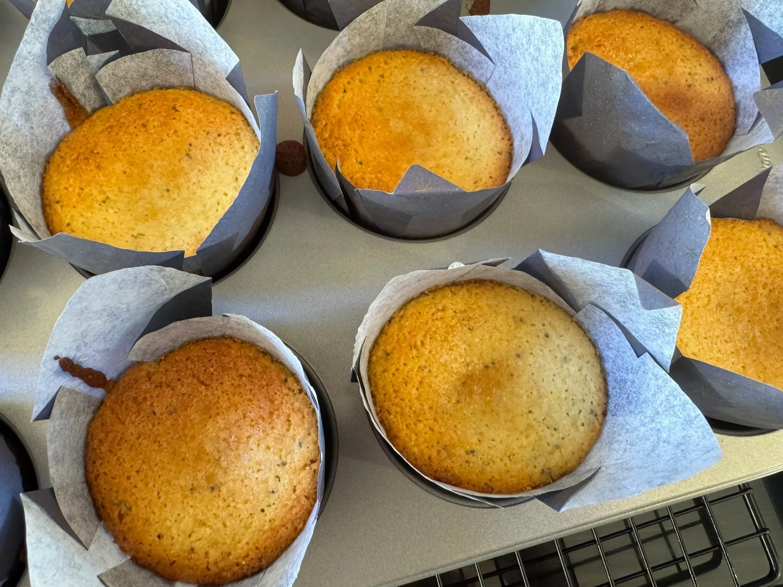 Six freshly baked golden muffins in baking cups on a cooling rack.