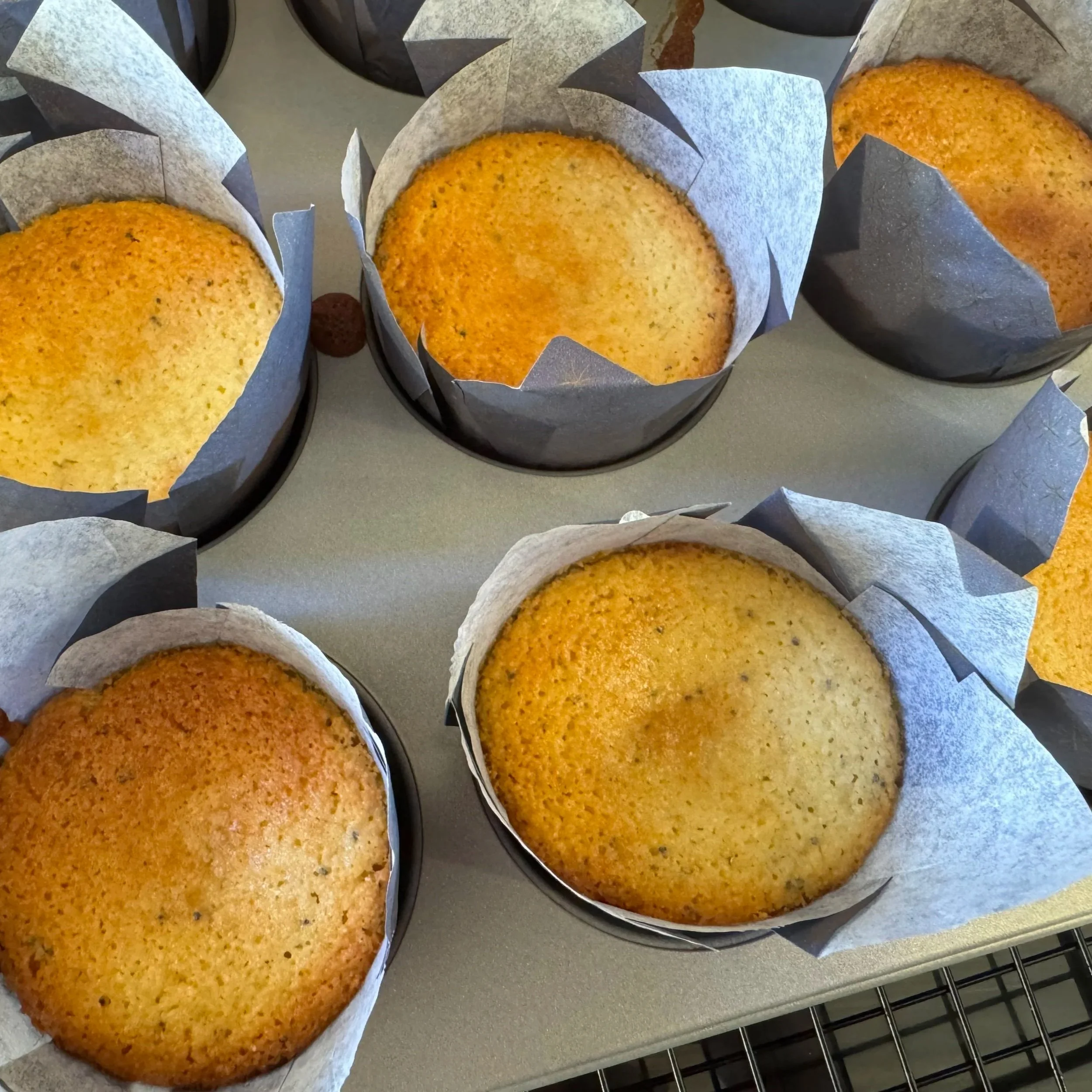 Lemon Poppyseed Muffins