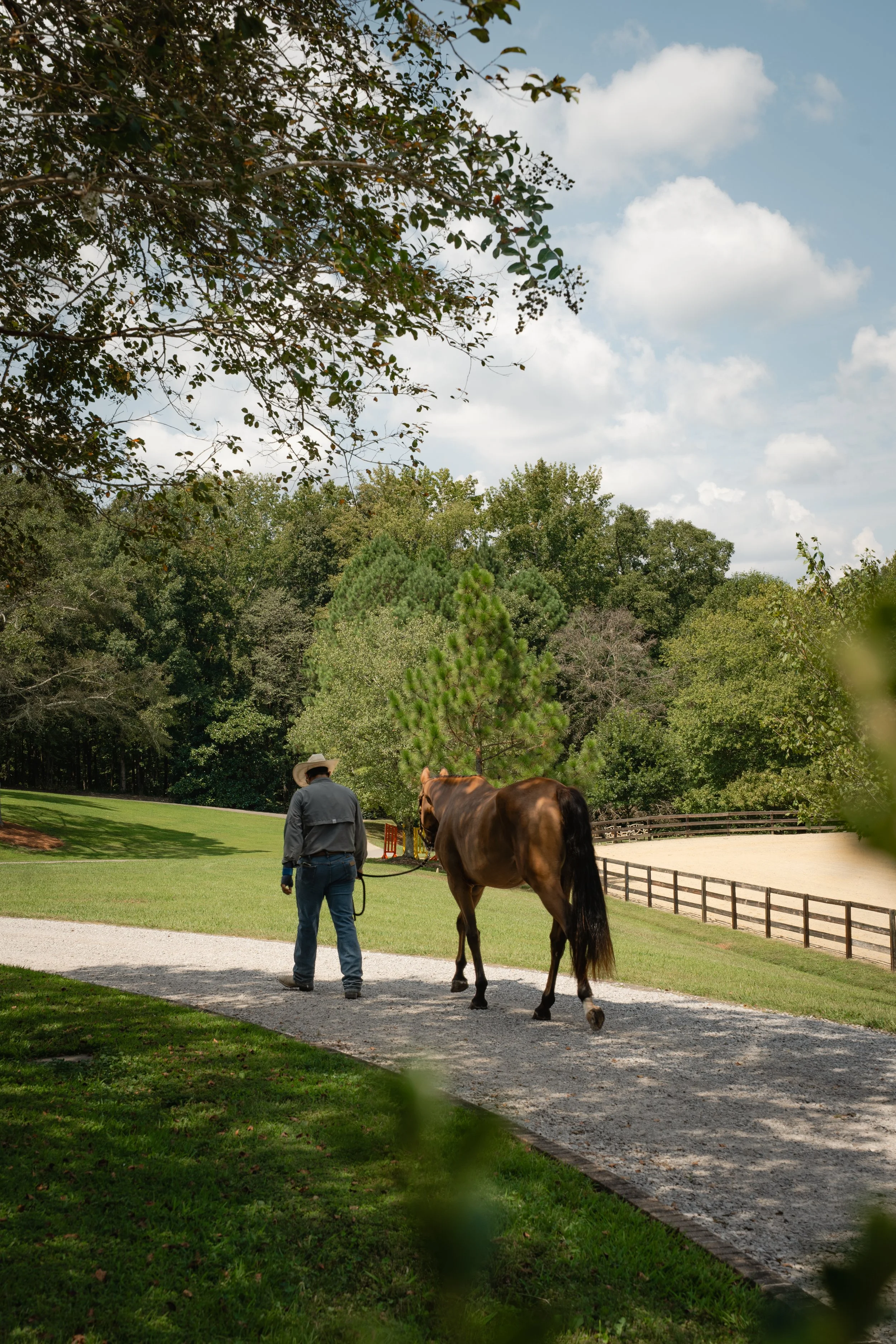 A person walking a brown horse on a paved path in a lush, green park under a partly cloudy sky.