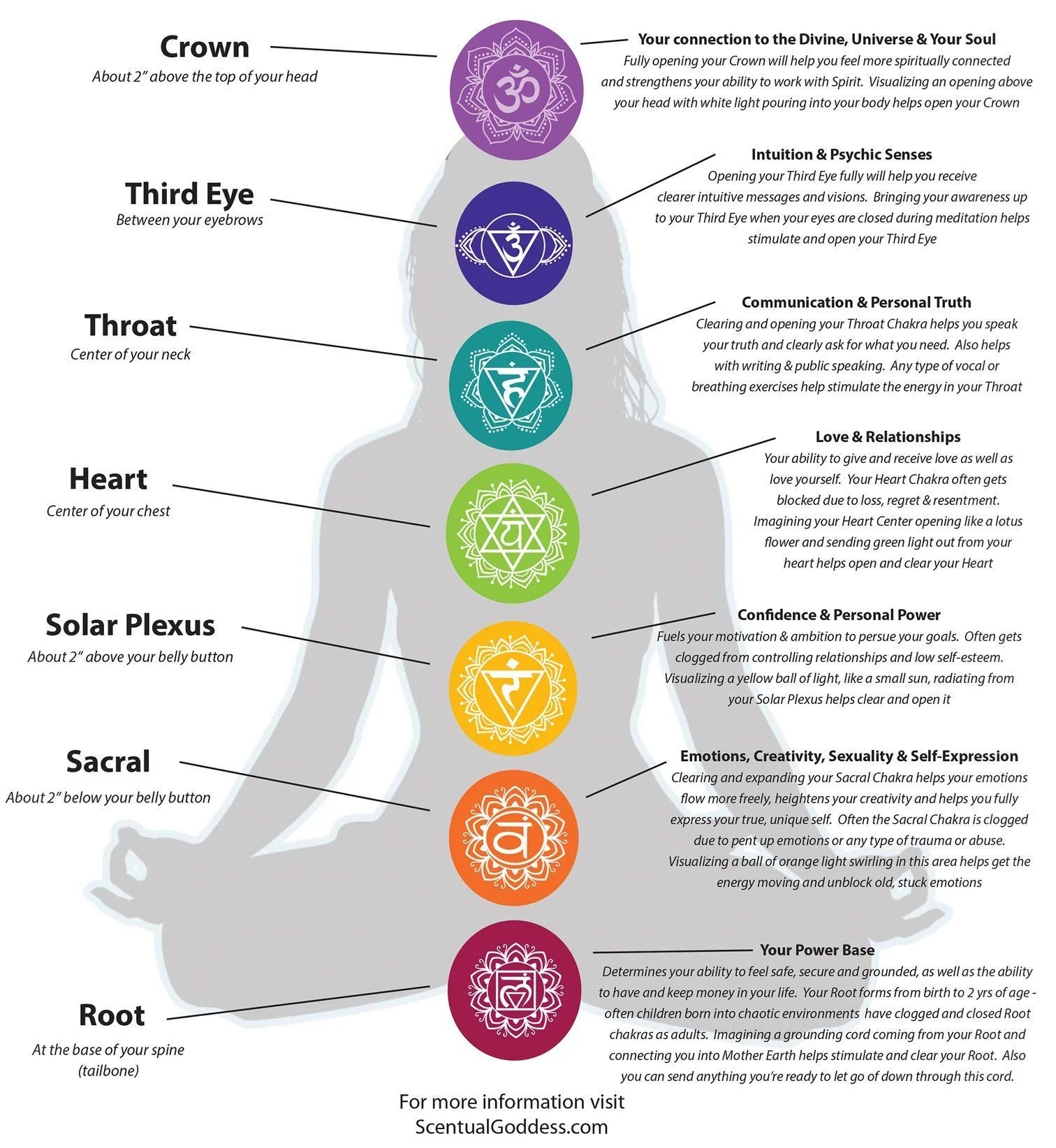 Chakra Cleanse (Beginner)