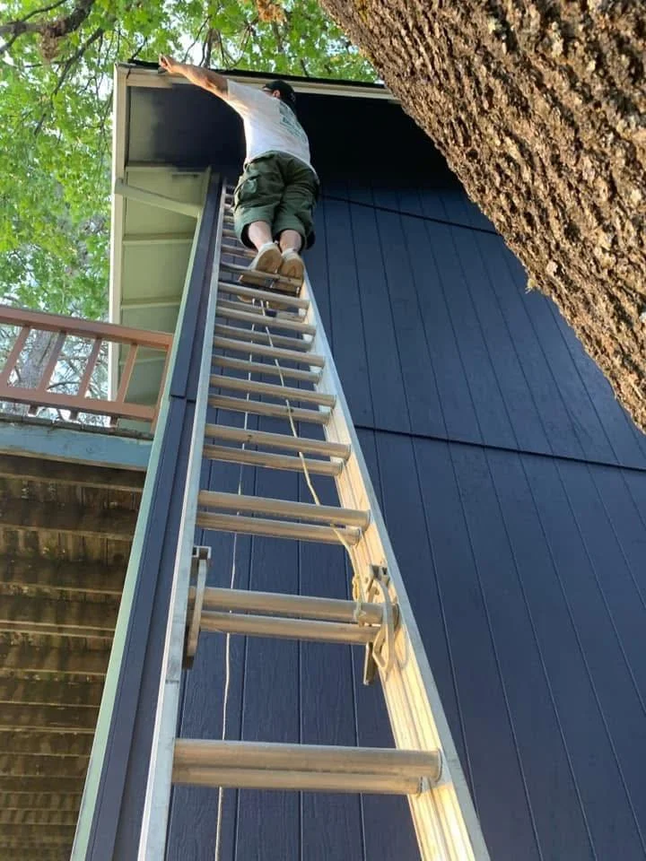 Person climbing an extension ladder leaning against a blue house, reaching the roof.