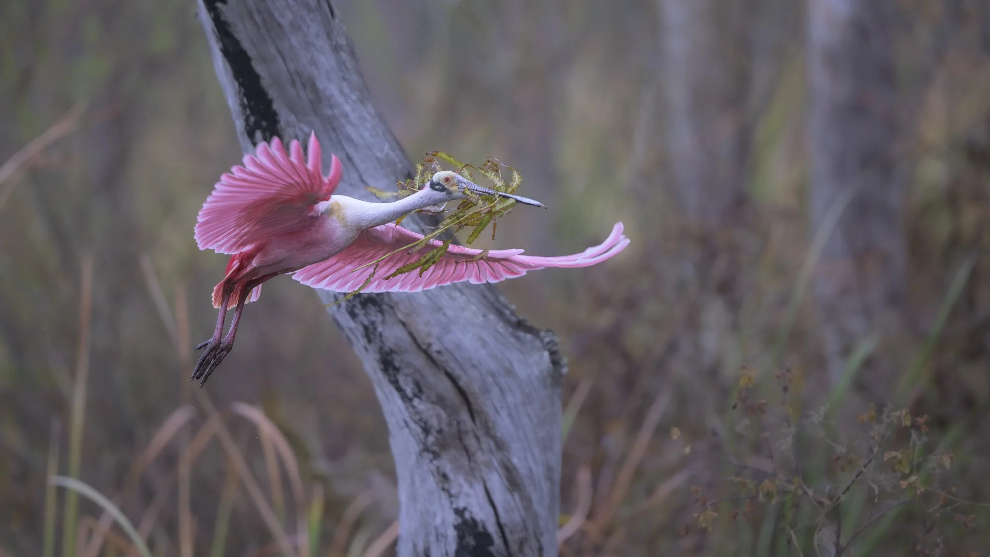 With quiet persistence, it carries what is needed as the fragile architecture of home takes shape.     (Rain - 9) 