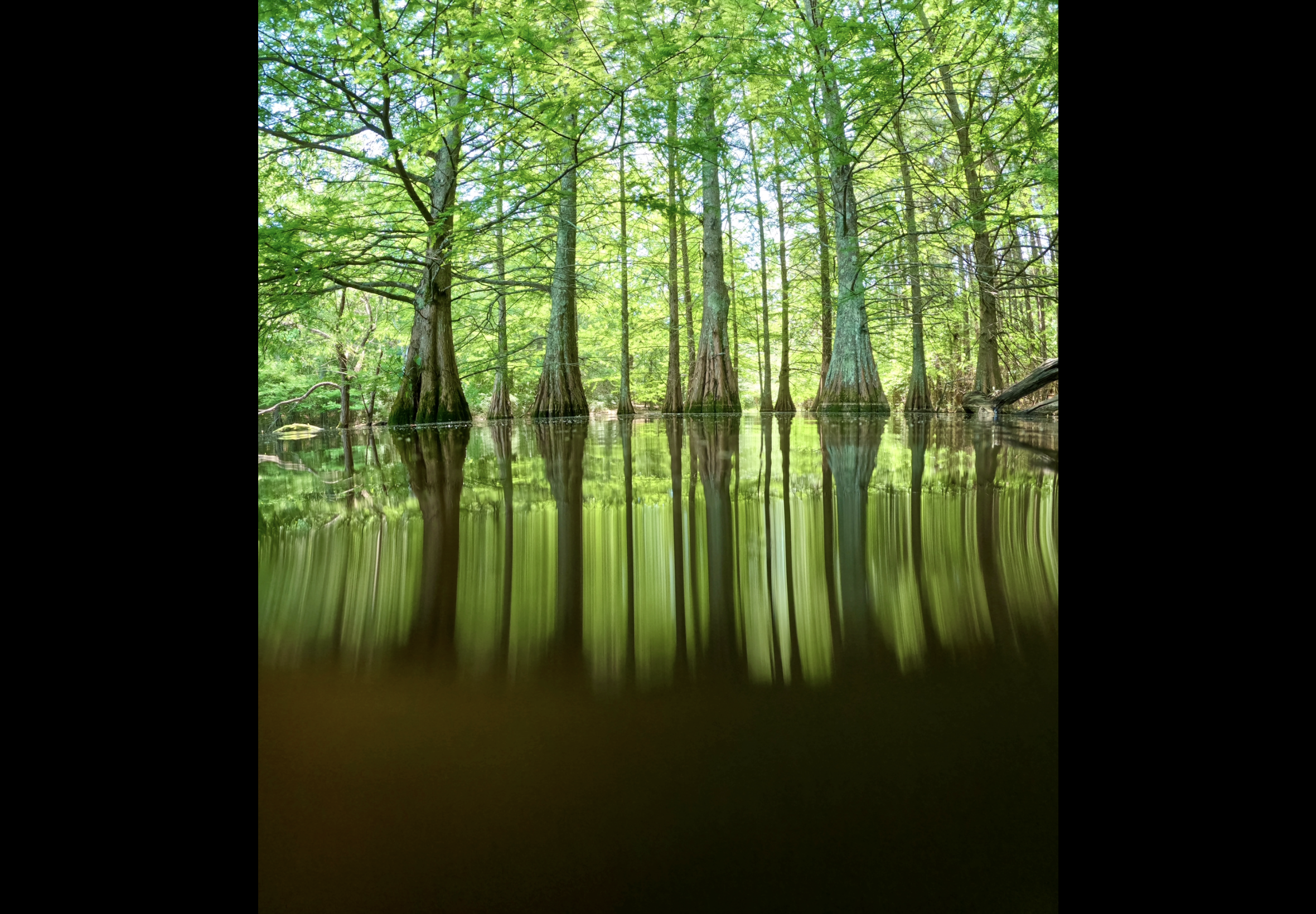 IMG_0577.png