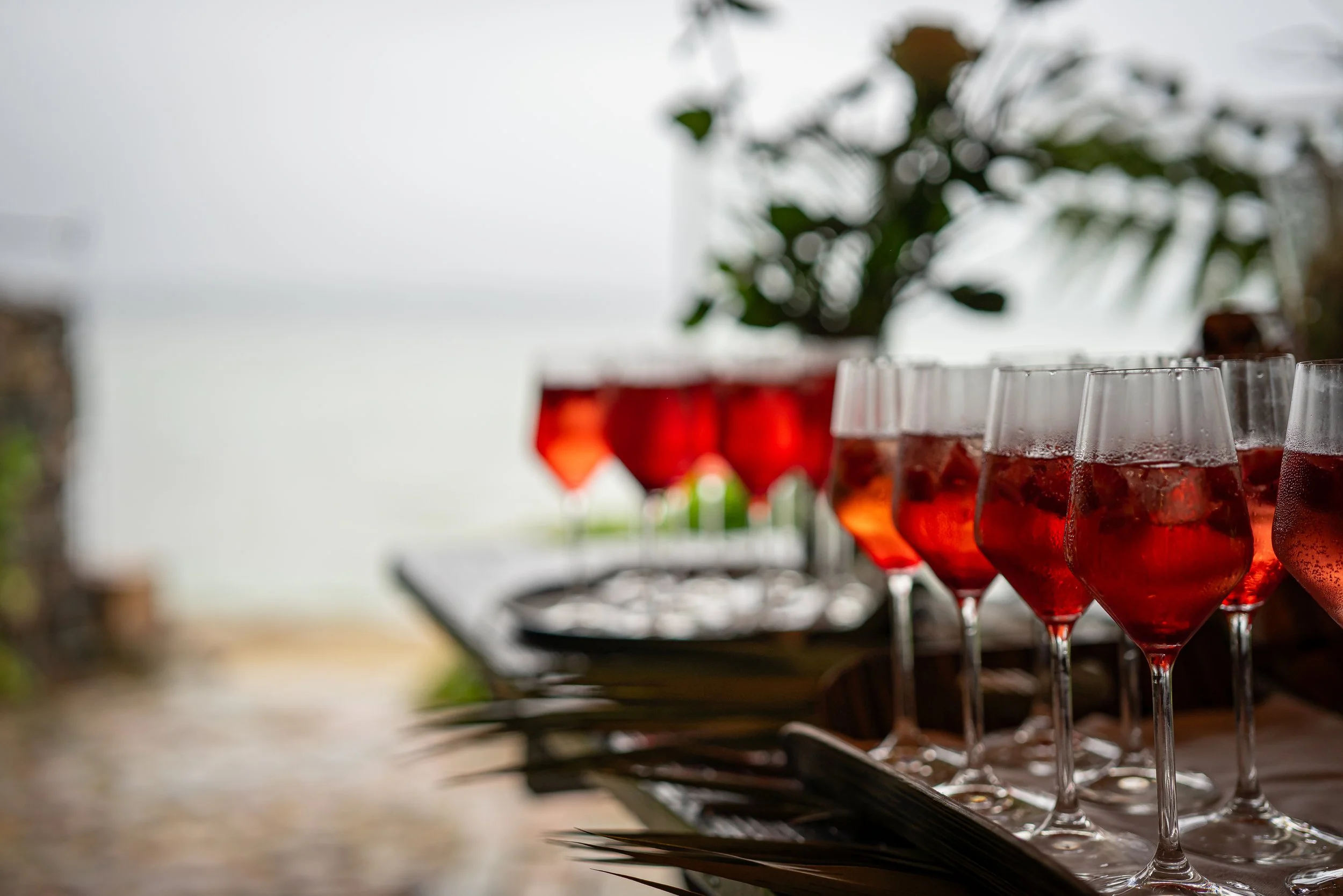 Mehrere Gläser mit roten Getränken und Eis auf einem Tisch, im Hintergrund ein Gasherd, eine Pflanze und eine unscharfe Wasserfläche.