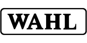 Close-up of a black puppy with a shiny coat, sitting on a white surface.