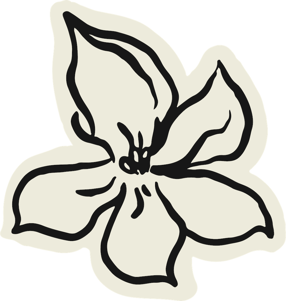 A black and white outline drawing of a flower with five petals.